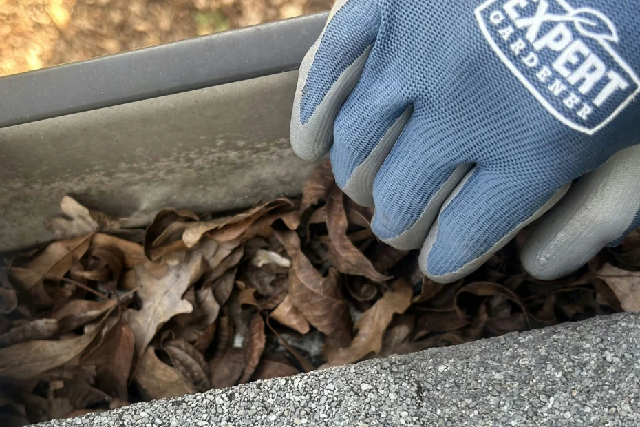 Gutter Cleaning Belleair Bluffs FL