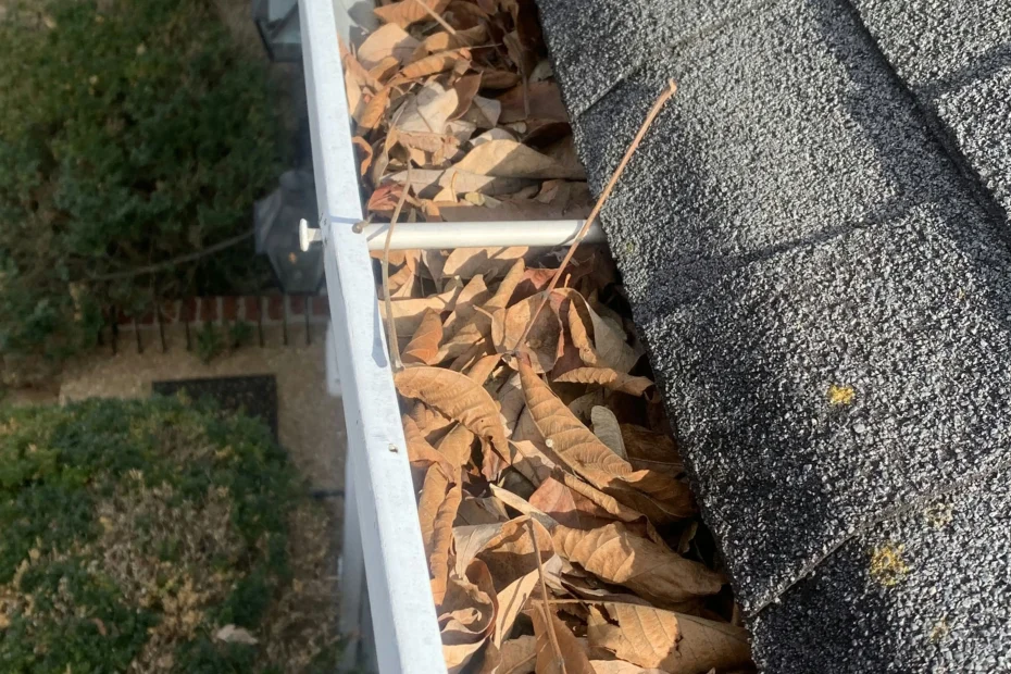 Gutter Cleaning Belleair Bluffs FL