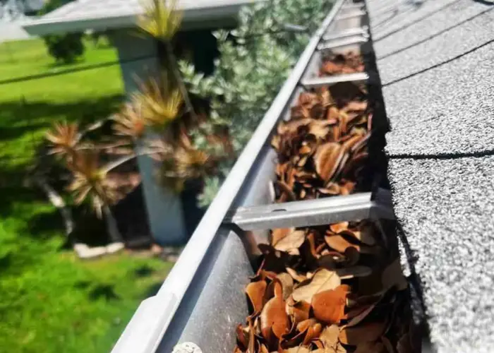 Gutter Cleaning Belleair Bluffs FL home page